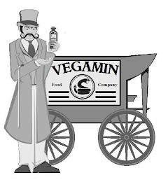 VEGAMIN FOOD COMPANY logo