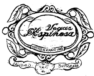 VEGAS D'ESPINOSA logo