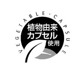 VEGETABLE CAPSULE logo