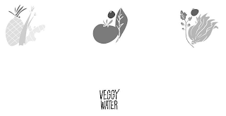 VEGGY WATER logo