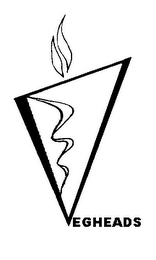 VEGHEADS logo