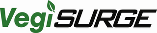 VEGISURGE logo