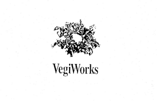 VEGIWORKS logo