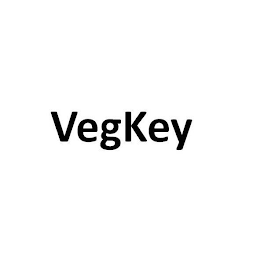 VEGKEY logo