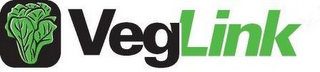 VEGLINK logo