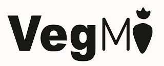 VEGMI logo