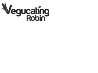 VEGUCATING ROBIN logo