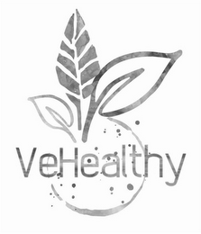 VEHEALTHY logo