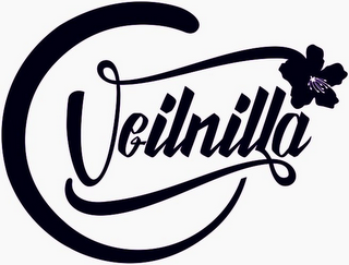 VEILNILLA logo