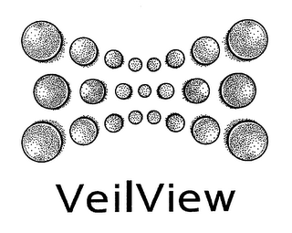 VEILVIEW logo