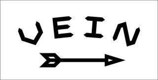 VEIN logo