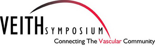 VEITHSYMPOSIUM, CONNECTING THE VASCULAR COMMUNITY logo