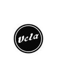 VELA logo