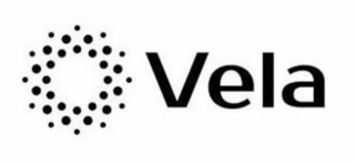 VELA logo