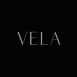 VELA logo