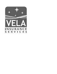 VELA INSURANCE SERVICES logo