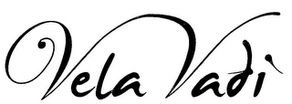 VELA VADI logo