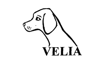VELIA logo