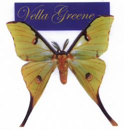 VELLA GREENE logo