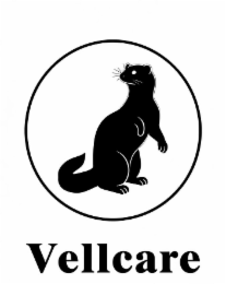 VELLCARE logo
