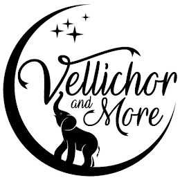 VELLICHOR AND MORE logo