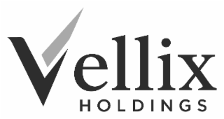 VELLIX HOLDINGS logo