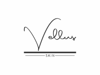 VELLUS SKIN logo