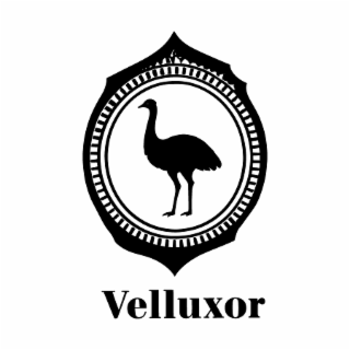 VELLUXOR logo