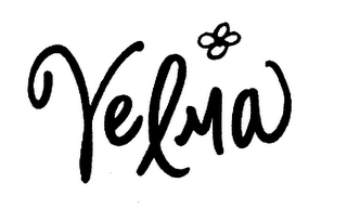 VELMA logo