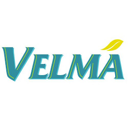 VELMA logo