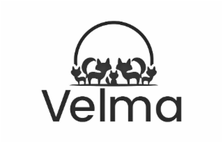 VELMA logo