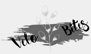 VELO BITES logo