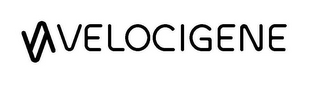 VELOCIGENE logo