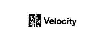 VELOCITY logo