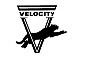 VELOCITY V logo