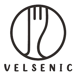 VELSENIC logo