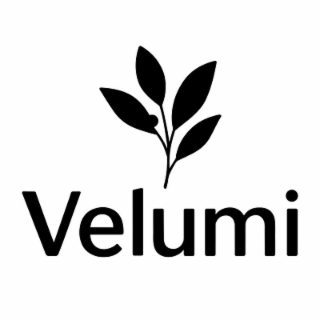 VELUMI logo