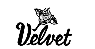VELVET logo