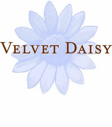 VELVET DAISY logo