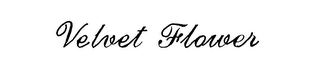 VELVET FLOWER logo
