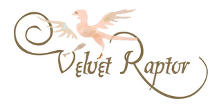 VELVET RAPTOR logo