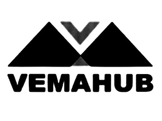 VEMAHUB logo