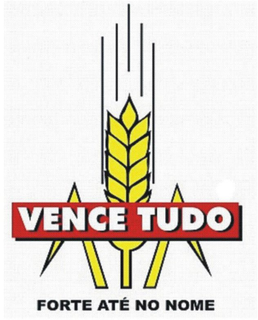VENCE TUDO FORTE ATÉ NO NOME logo