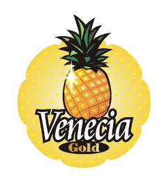VENECIA GOLD logo