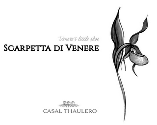VENERE'S LITTLE SHOE SCARPETTA DI VENERE CASAL THAULERO logo