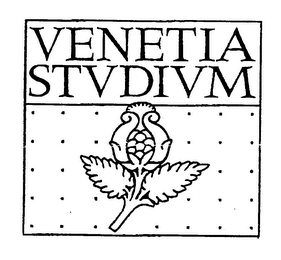 VENETIA STVDIVM logo