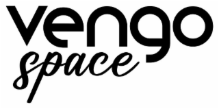 VENGO SPACE logo