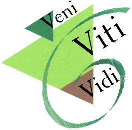 VENI VITI VIDI logo