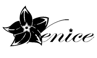 VENICE logo