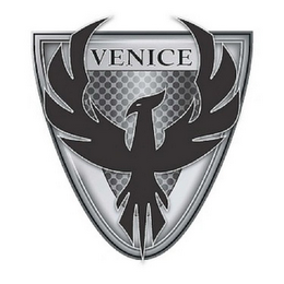 VENICE logo